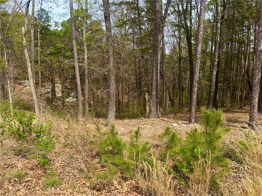 Pine Crest - Land