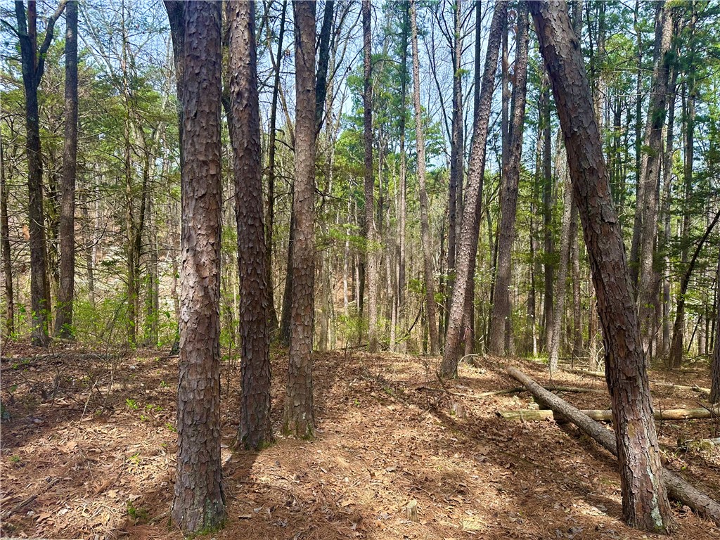 Pine Crest - Land