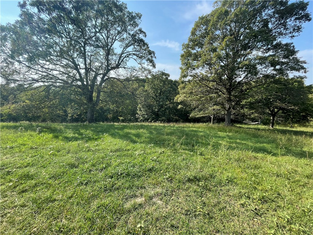 - - Land