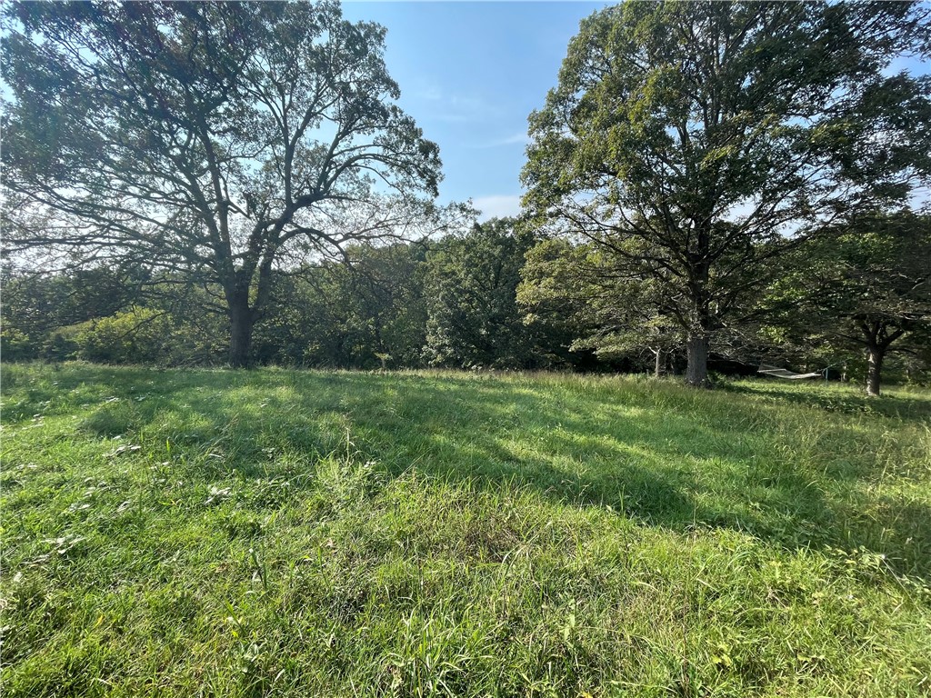 - - Land