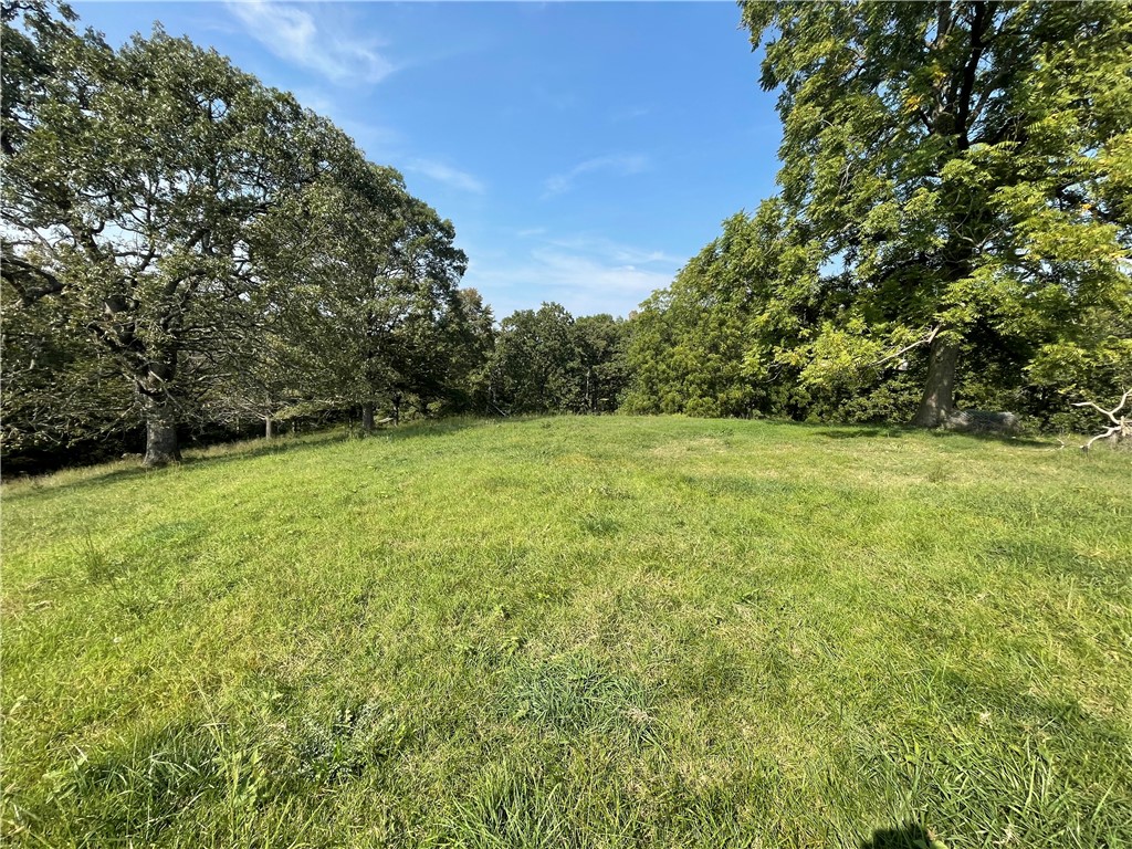 - - Land