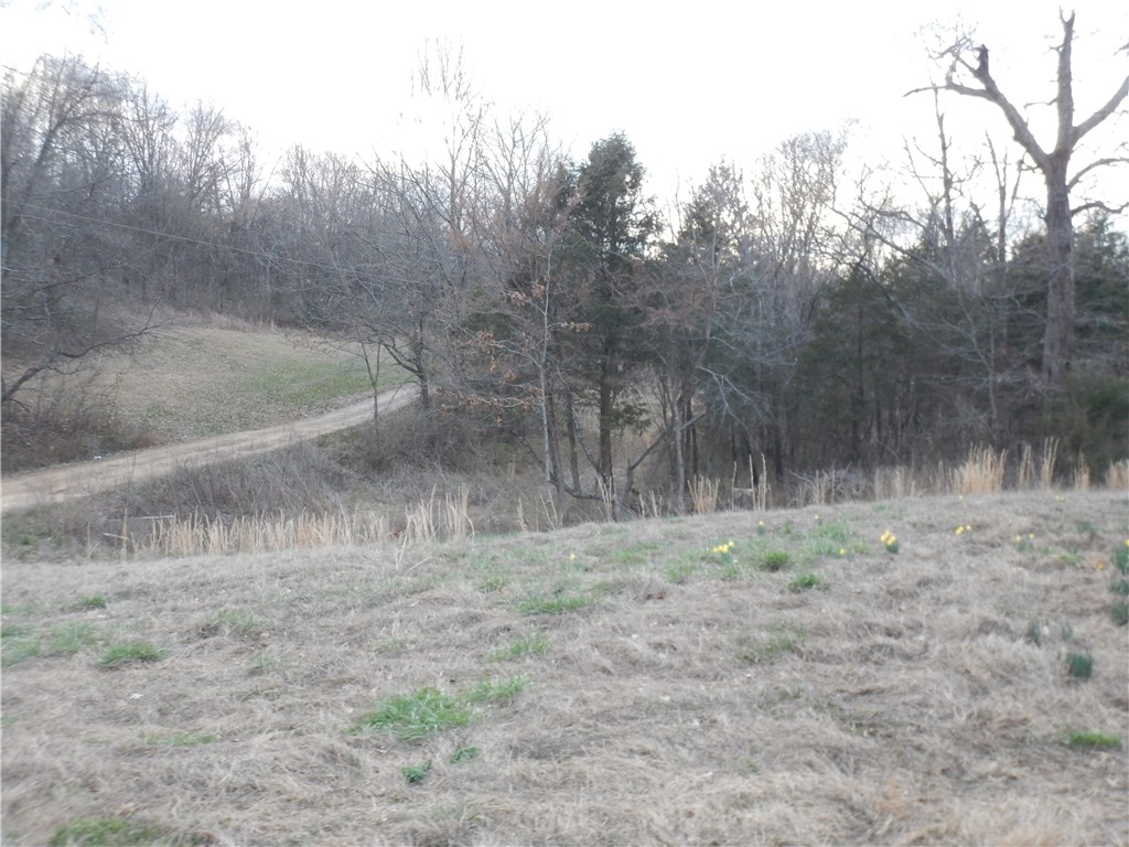 rural - Residential