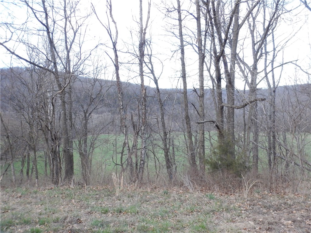 rural - Residential