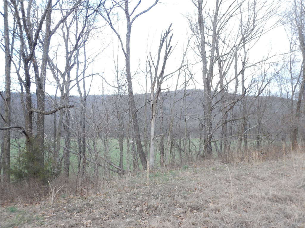 rural - Residential