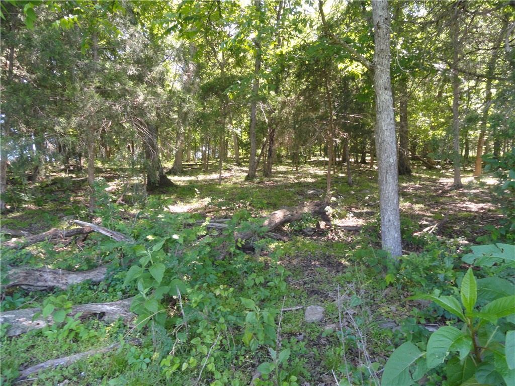 na - Land