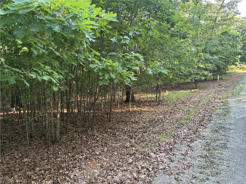 Webbs Landing Doyal Addition - Land
