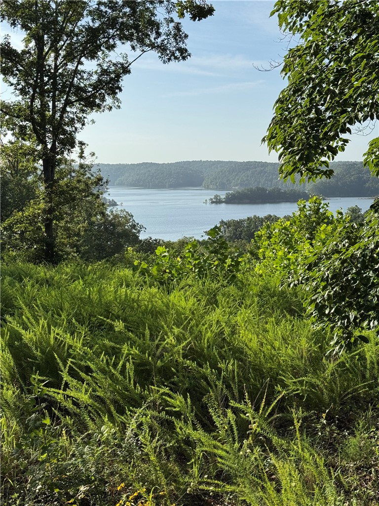 Old Campbell - Land