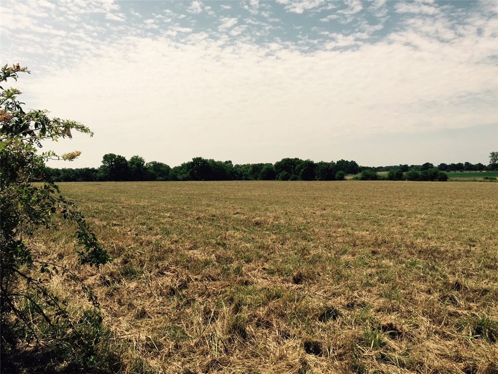 Will sell all together or split into 3- 10 acre tracts and 1- 5 acre tract. The 5 acre tract borders Guthrie Road, Tract 1 has a pond. See survey.  Please look at survey-part of the land at the back is in the flood plain. See ML 736226 (4.88 acr), ML 736232 (9.92 acr,), ML 736235 (9.90 acr.), ML 736234 (9.94 acr.)  Well and septic needed.