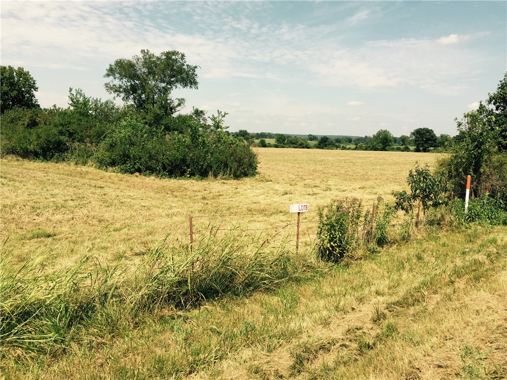 - - Land