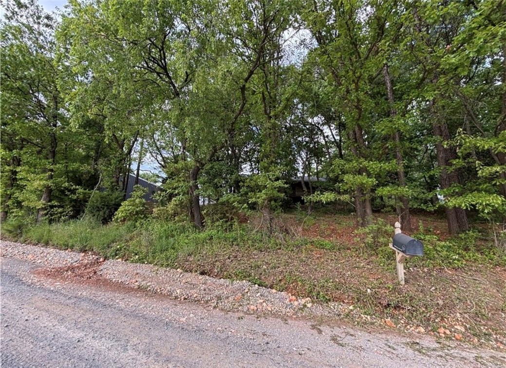 03-19-32-Rural - Residential
