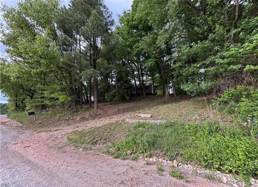 03-19-32-Rural - Residential