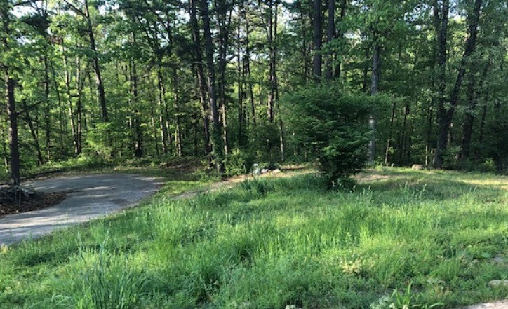 2 Bella Vista Lots at End of Cul-De-Sac