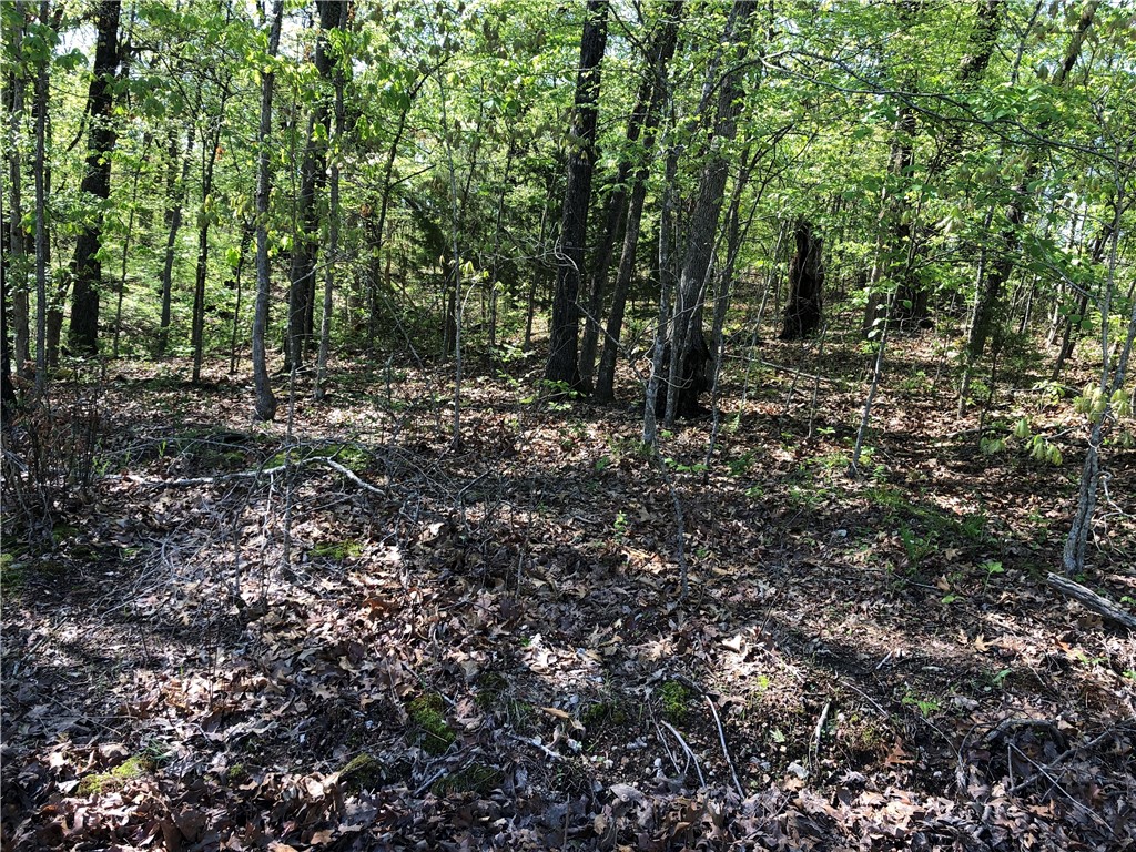 Excellent over 1/3 of an acre buildable lot in area of 3-bedroom single story homes. Front 75'(+/-) is nearly flat for building, rear drops off steeply.