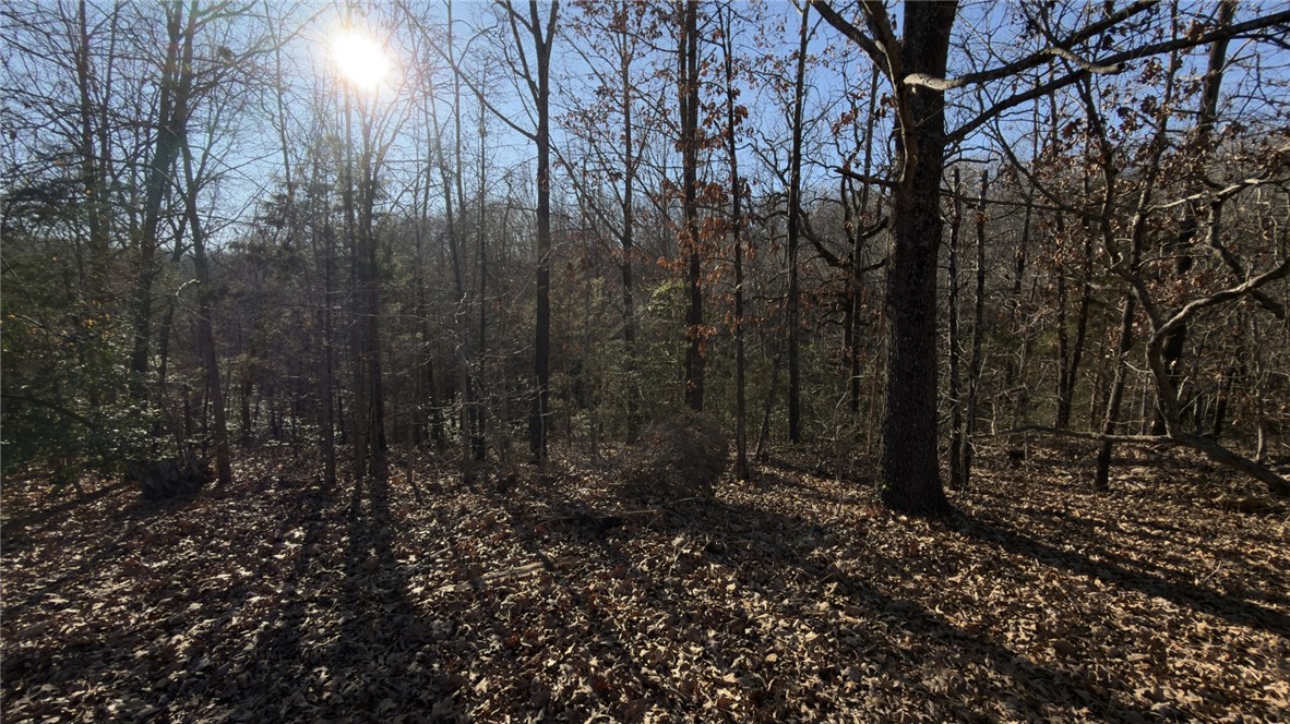 Ponderosa Lake Add - Land