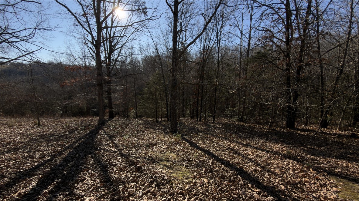 Ponderosa Lake Add - Land