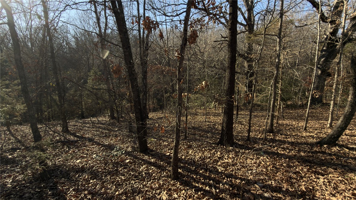 Ponderosa Lake Add - Land