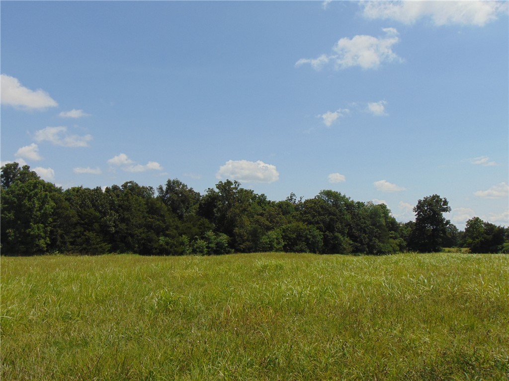 Green Meadow Acres - Land