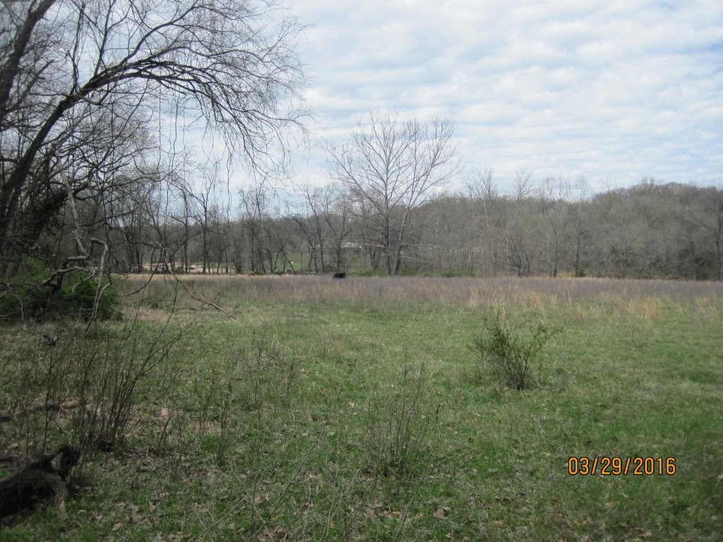 20-20-32 rural - Land