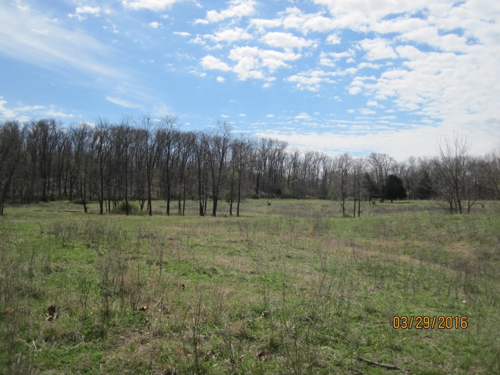 20-20-32 rural - Land