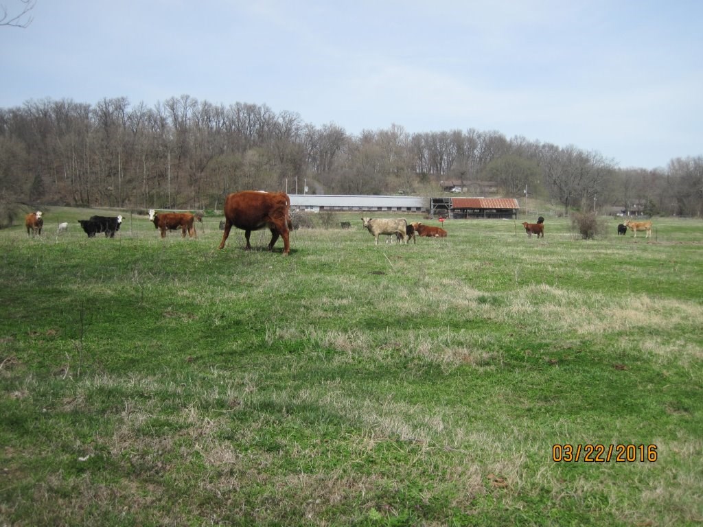 20-20-32 rural - Land