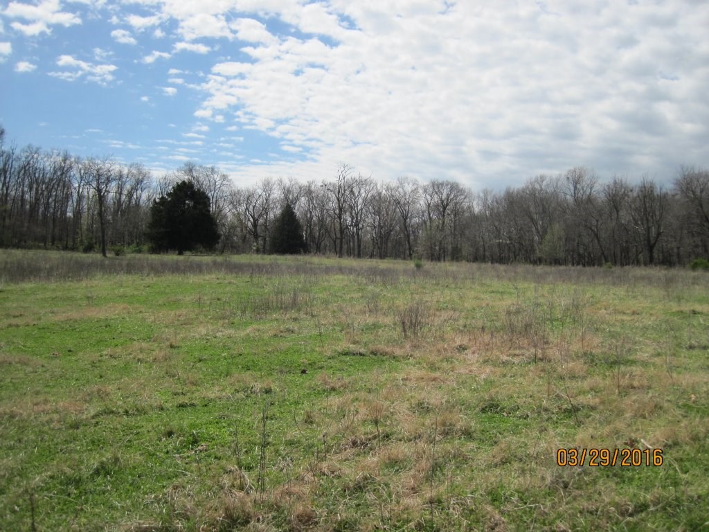 20-20-32 rural - Land