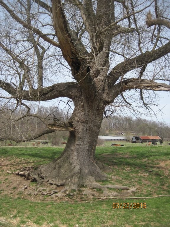 20-20-32 rural - Land