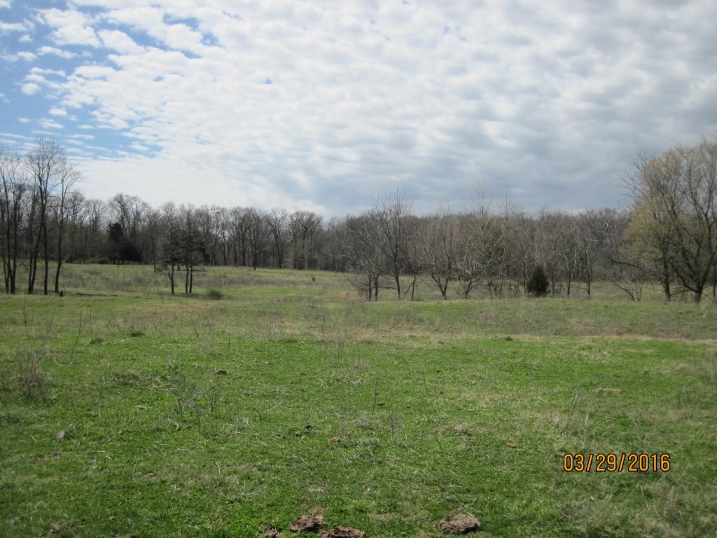 20-20-32 rural - Land