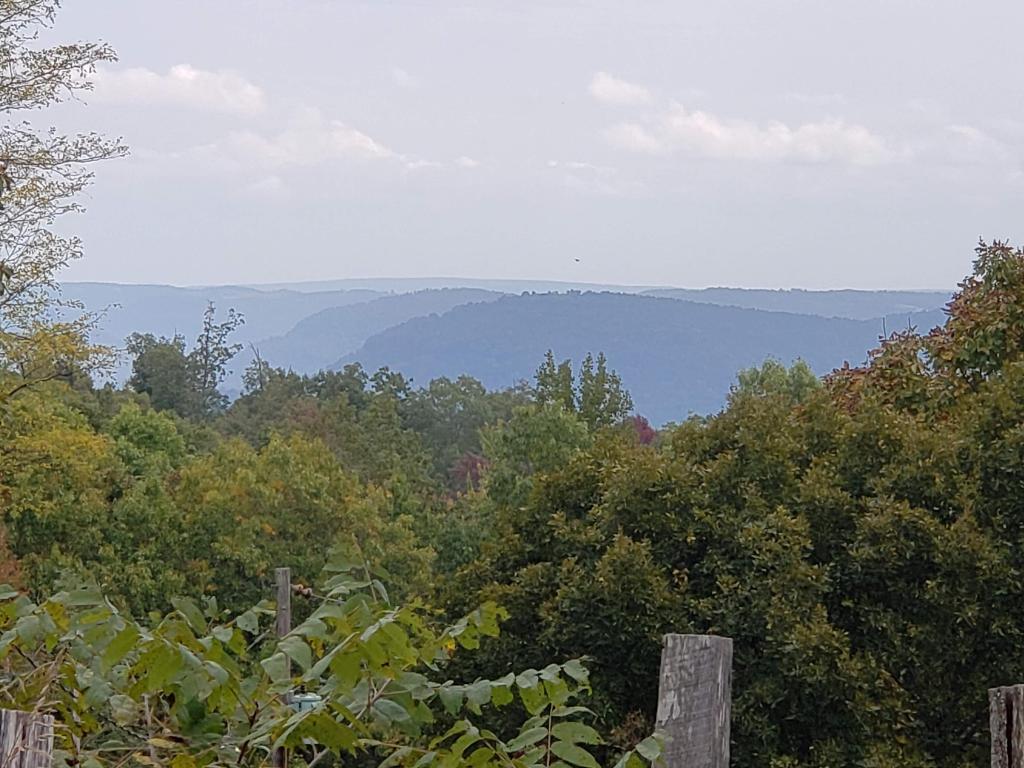 97.9 AC m/l of Shiloh Mountain, top of the mountain with views.  Some flat pasture land, some old outbuildings, some fences in place, a 40 x 80 metal shop building and an old burned down home site which had utilities at one time make this ideal to create your homestead!  Only 2 miles down a gravel road and located a few min from Boxley Valley Elk Viewing, Ponca and the Buffalo National River for world class floating and all the great hiking trails of the National Forest or National Park Service!!