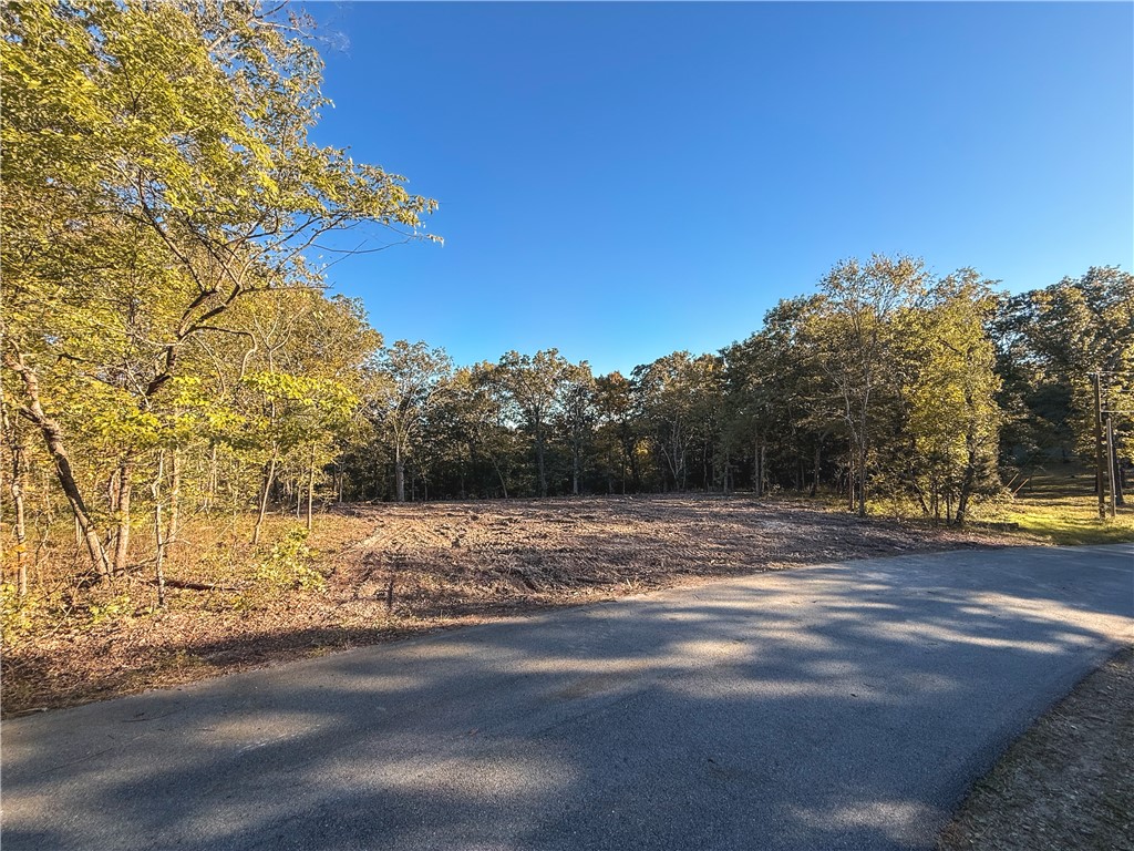 Seize the opportunity to build your dream home on this 1.76+/- acre estate lot! Conveniently located North Bentonville, this property is just minutes away from Bentonville Bike Trails, Downtown Bentonville, and Walmart’s New Campus. It’s served by the highly sought after Bentonville School District. Located in Rush Estates(no building restrictions), and the property is already partially cleared(to preserve privacy). The lot is surveyed and ready for construction. Enjoy the tranquility of a quiet dead-end road, perfect for morning walks. The area has experienced a surge in property values, reflecting the thriving real estate market in Bentonville. Transform this Estate lot into the property of your dreams!