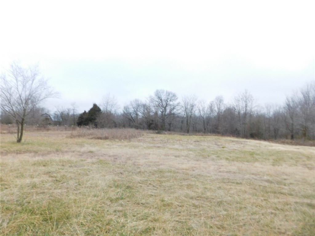 - - Land