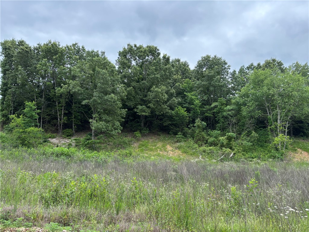 Great rural home site between Harrison and Bull Shoals Lake. Rural water and electric available. Mostly wooded, pretty area with rolling hills. Within minutes of many Ozark hiking, camping, fishing, hunting, swimming, boating, canoeing, and sightseeing venues! Check it out!
