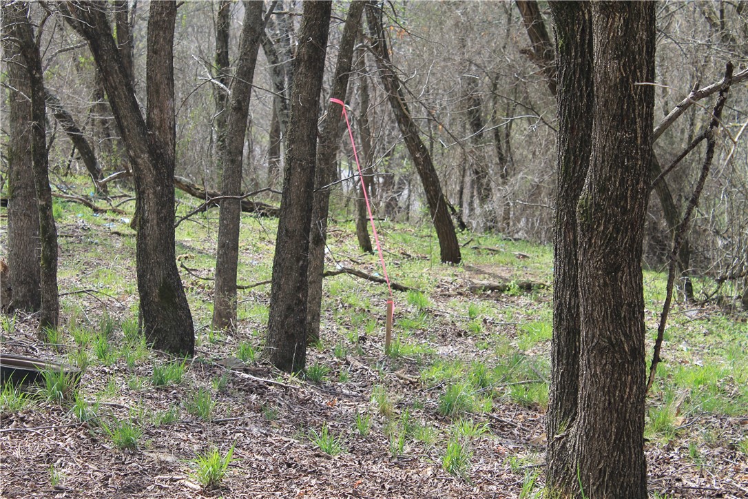 Prairie Grove Outlying acreage - Land