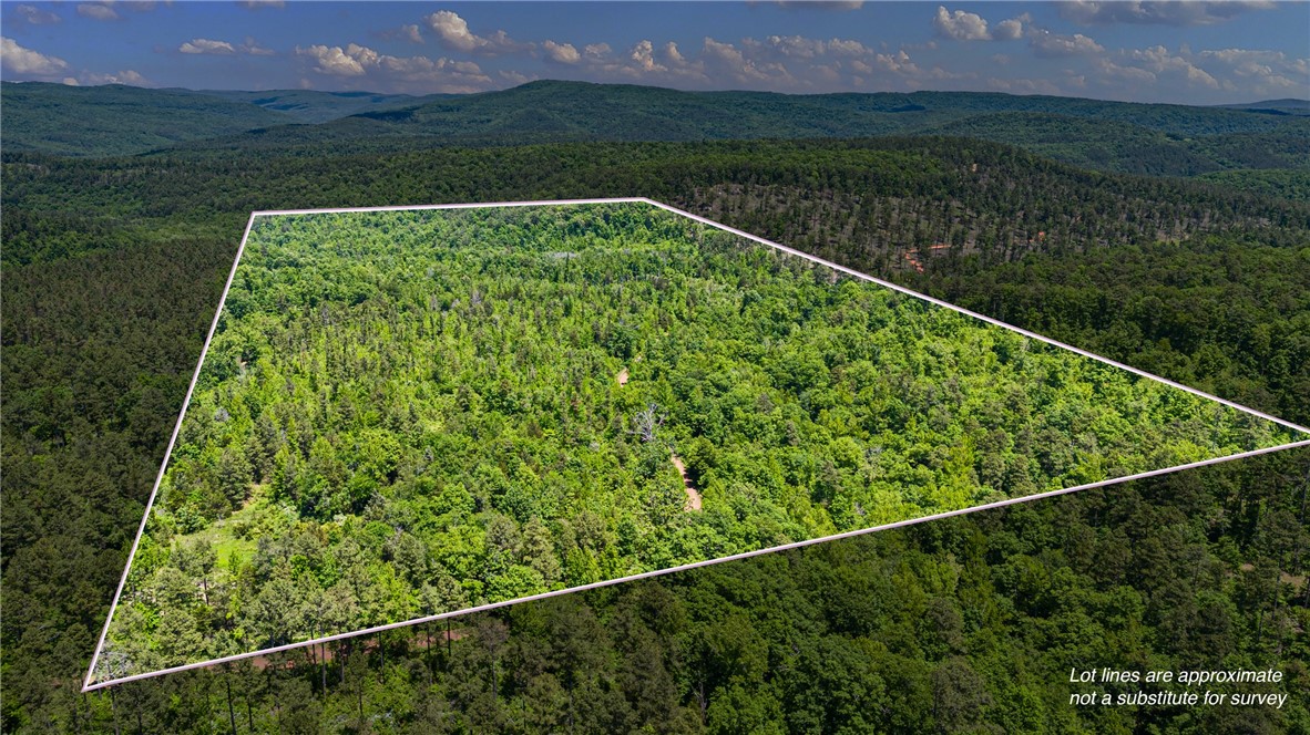 Surrounded on all sides by the Ozark National Forest, this rare 80-acre tract offers seclusion and natural beauty just 40 minutes from downtown Clarksville. Accessed via Forest Service Road 1425A, the property has no utilities and is being sold as-is, with buyers encouraged to verify permanent legal access. Whether you're looking for a private hunting spot, recreational getaway, or a place to truly unplug, this land offers endless potential in a stunning natural setting.