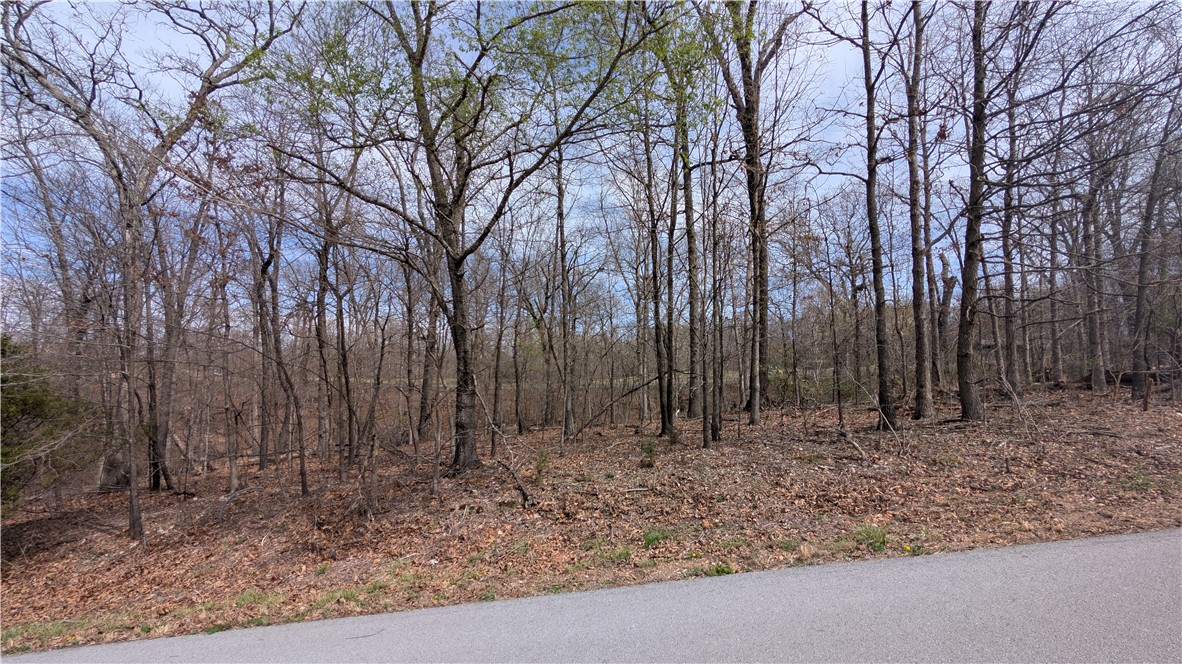 Owner Financing Available.  No credit check, no prepayment penalty. Welcome to Northwest Arkansas! Discover the opportunity to build your dream home on this beautiful 0.29-acre lot in Bella Vista, ideally located adjacent to the highly sought-after Highlands Golf Course. Known for its scenic Ozark views, rolling terrain, and championship-level play, Highlands is one of Bella Vista’s premier courses, offering a true golf and nature lifestyle. This property provides a peaceful setting with convenient access to all the amenities Bella Vista is known for: its golf, lakes, trails, and more. Whether you're looking to build now or invest for the future, this lot offers both location and potential. For easy navigation, enter 36.482623, -94.364411 into your GPS to view the property location. Ask your agent for additional details, including the septic test and conceptual building plans.