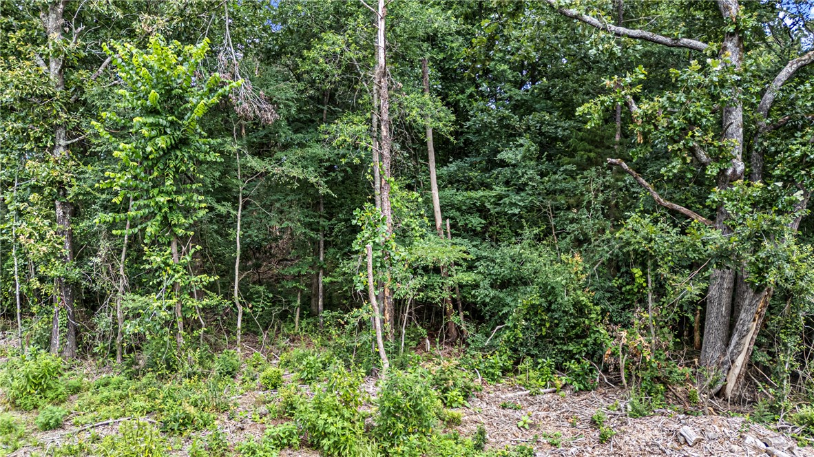 / - Land