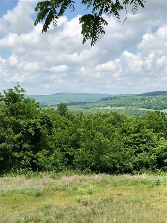 Rural - Residential