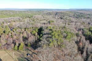 15 acres of wooded bliss on a slope...very  secluded, yet just a short drive from downtown Russellville. Would be a wonderful place to hunt given all the deer activity on the property.