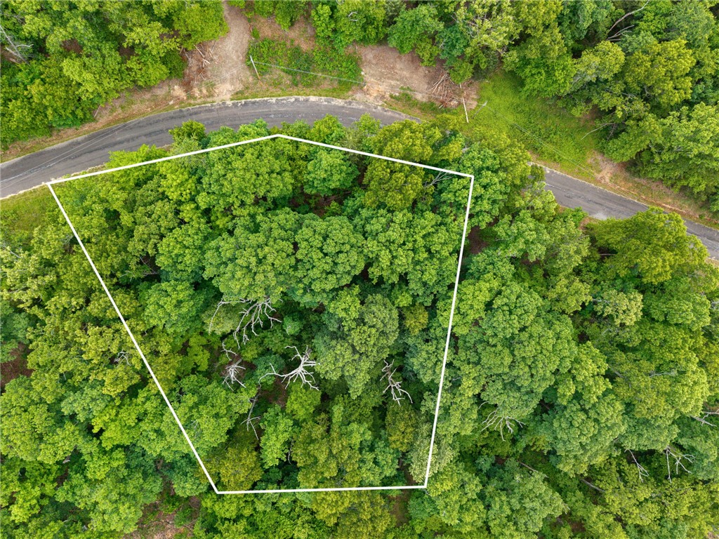 An exceptional opportunity to own a lot in Bella Vista, offering the perfect setting to build your future home while enjoying access to the area’s renowned outdoor lifestyle and amenities. Conveniently located near Lake Loch Lomond and the boat dock on Stoneykirk Drive, this property provides easy access to lake living, boating, fishing, and recreation. As part of the Bella Vista POA, owners enjoy access to golf courses, lakes, recreation centers, swimming pools, trails, parks, and more. Lot has been perc tested for up to a 3 bedroom home. Whether you are looking to build a primary residence or invest, this lot offers the chance to experience the natural beauty, community atmosphere, and active lifestyle that makes Bella Vista so desirable.