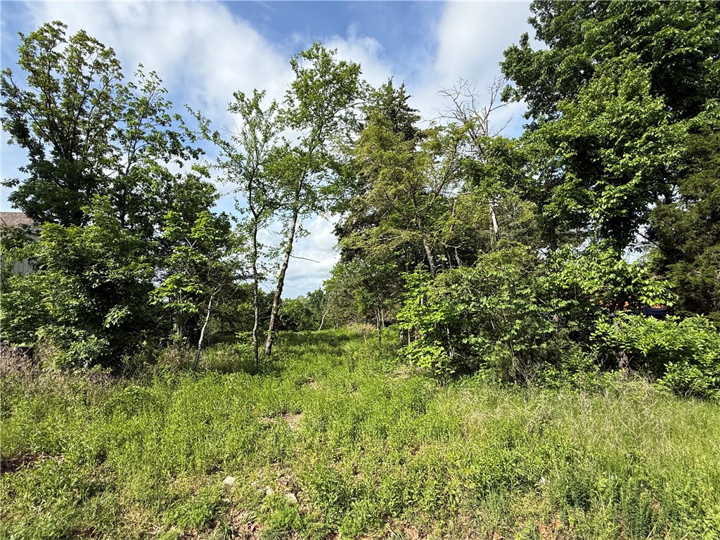 Unit 11 Holiday Island - Land