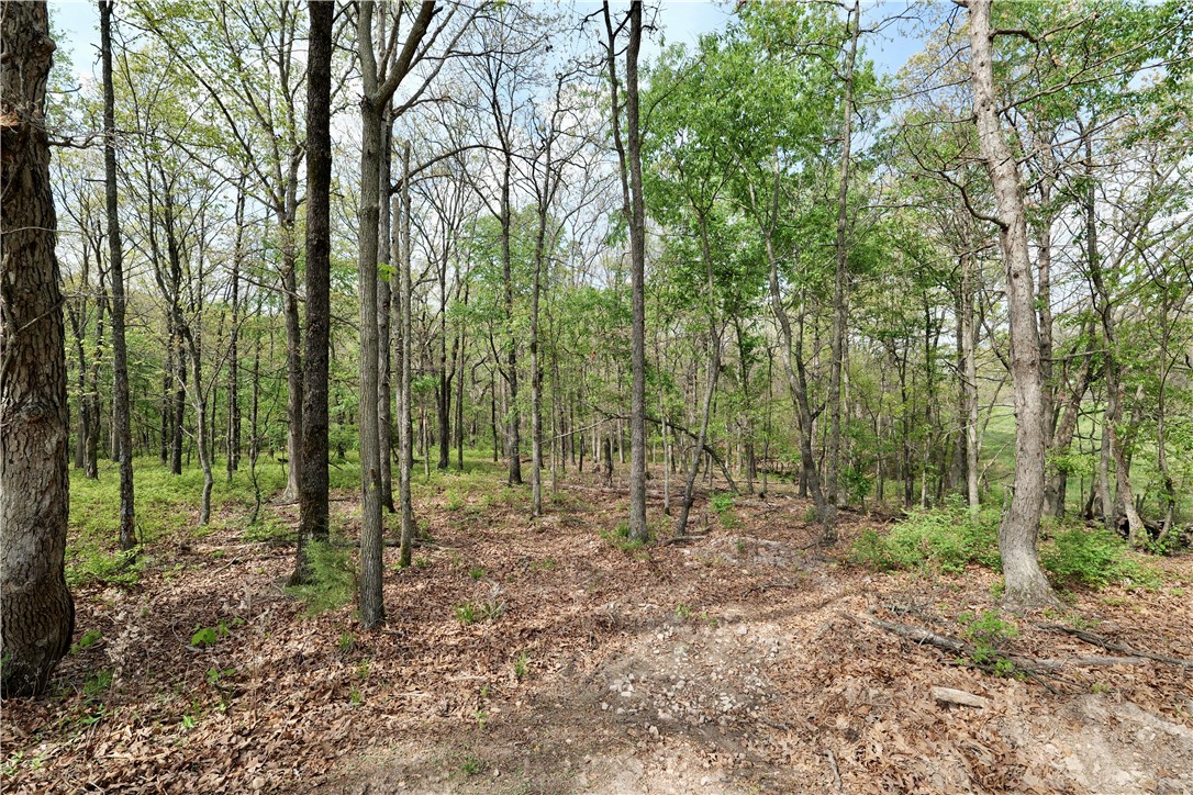 Discover the ideal location for your custom estate on this versatile acreage that perfectly balances seclusion with accessibility. Located just 10 minutes from I-49, 25 minutes from the Home Office, and 2 miles from the future site of the North-South Connector, this property offers prime convenience. The land features a scenic mix of level and gently rolling terrain, providing numerous optimal build sites that are easy to navigate. With three 5-bedroom perc tests already on file, there is significant potential to split the acreage into two or three individual parcels, or enjoy the 4.26 acres to yourself. Enjoy a private atmosphere while remaining minutes away from the amenities of  Gravette,  Centerton,  Bella Vista, and  Bentonville.