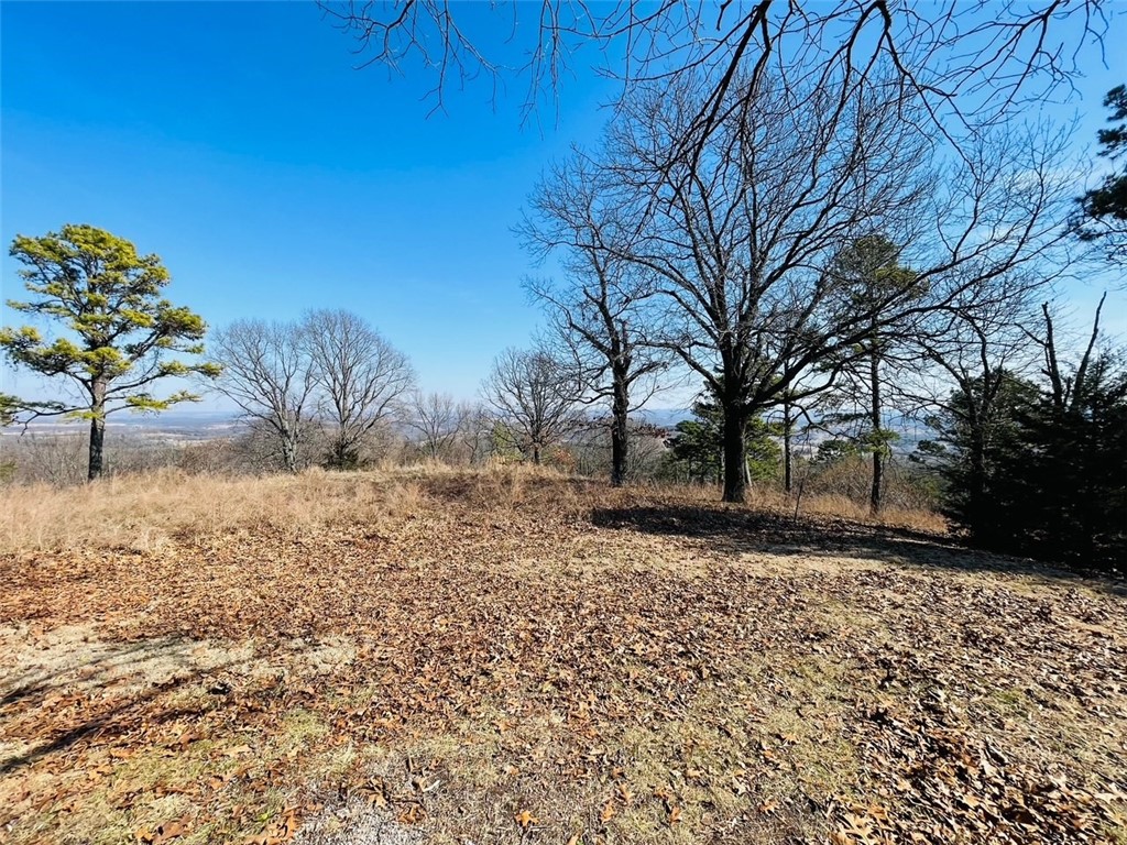 Beautiful 36 acres of wooded land with Wonderful Views, lots of pine and hardwood trees, deer, turkey, just under a mile of paved county road off of Hwy 62.  Just outside of Eureka Springs, close to Berryville for shopping.  Property has been surveyed off with roads throughout to develop or just keep it for yourself.  State approved water well on site currently serving Long View Estates.