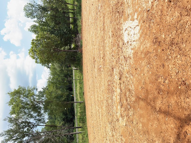 Attention investors! Great opportunity to own 4.54 acres in a desirable location. Build your dream home or explore the potential for multiple homes (subject to zoning and approvals). Enjoy peaceful surroundings with endless possibilities. Don't miss your chance to own this beautiful piece of land!