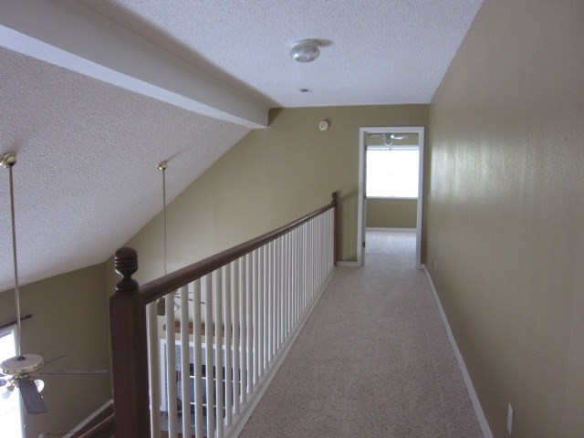 Reighton - Residential