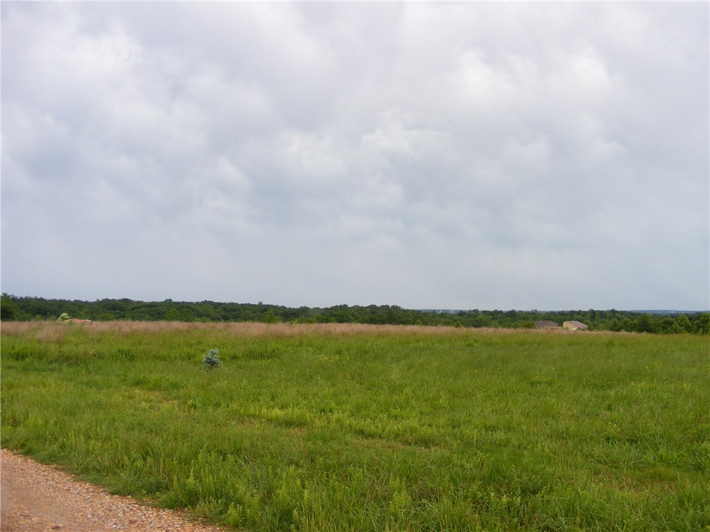 Nice level 5.01 acres with rural water and under ground electric . Great area to build a new home.