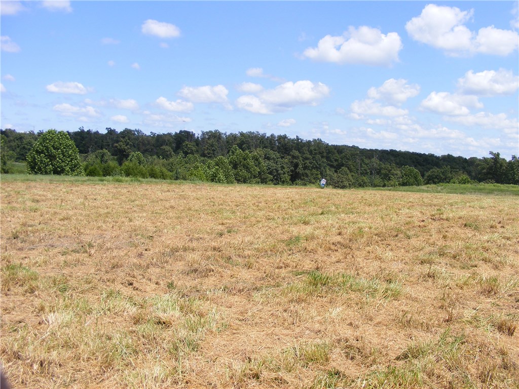 rural - Land