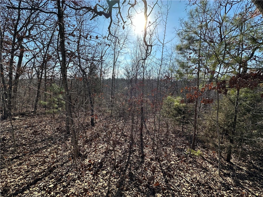 Come check out this peaceful wooded lot in Bella Vista.  Recreation Resort Community for its residences. 7 Lakes, 7 Golf Courses, Pickle Ball Courts, Gyms, In/Outdoor Pools, Paved Walking & Trails, 100s of miles of World Class Biking Trails. Near Lake Loch Lomond and close to the heart of town.  This is also listed as a bundle in MLS #1267075.