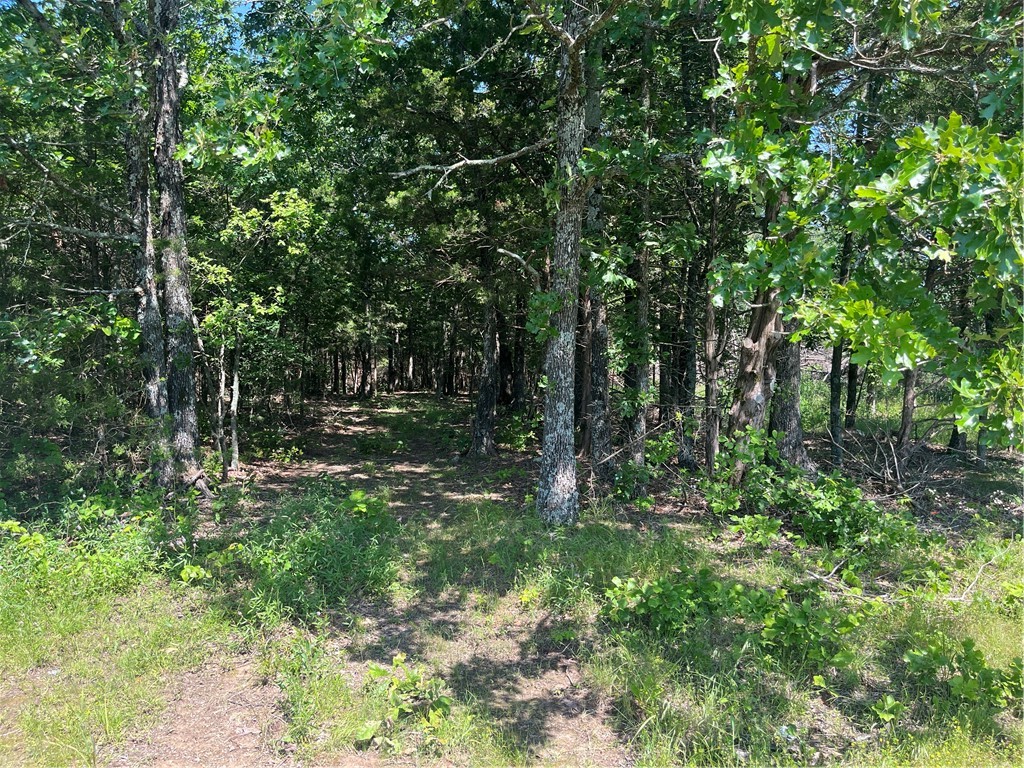 Beautiful piece of the secluded Ozarks! This 10.14 acres is nestled in a valley with a seasonal creek on the south side and a new driveway has been cut in giving access to a building site at the back of the property that has had a perc test and is approved for a 3 bedroom home, septic design and permit available and water tap paid for, Water and electric are available at Madison 6124 also. Address is Elkins and is located about halfway between Elkins and Huntsvlle. Schedule your showing today!