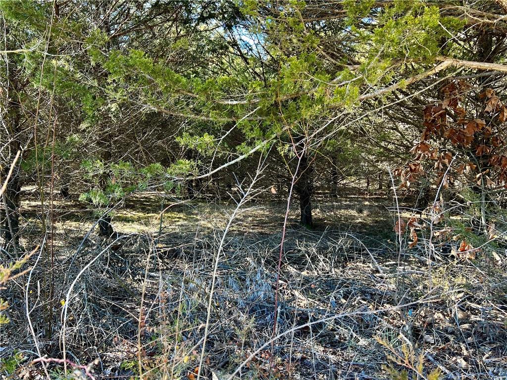 Posy Mountain Ranch Unit 2 Rurban - Land