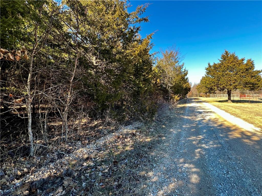 Very flat and square 2.3-acre lot just off Posey Mountain Drive. Country setting with all the common amenities of Lost Bridge Village, including Swimming Pool, Tennis Courts, Rec Center, Library and near by Airstrip. Rural water available a short distance on Posy Mountain Dr. Property can also be accessed from Avoca. Your new home would have an amazing sunset out the back. See attached survey and covenants.