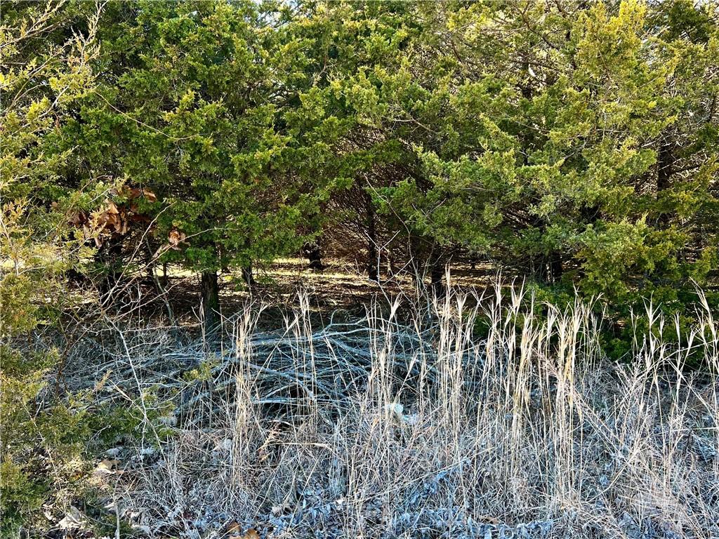 Posy Mountain Ranch Unit 2 Rurban - Land